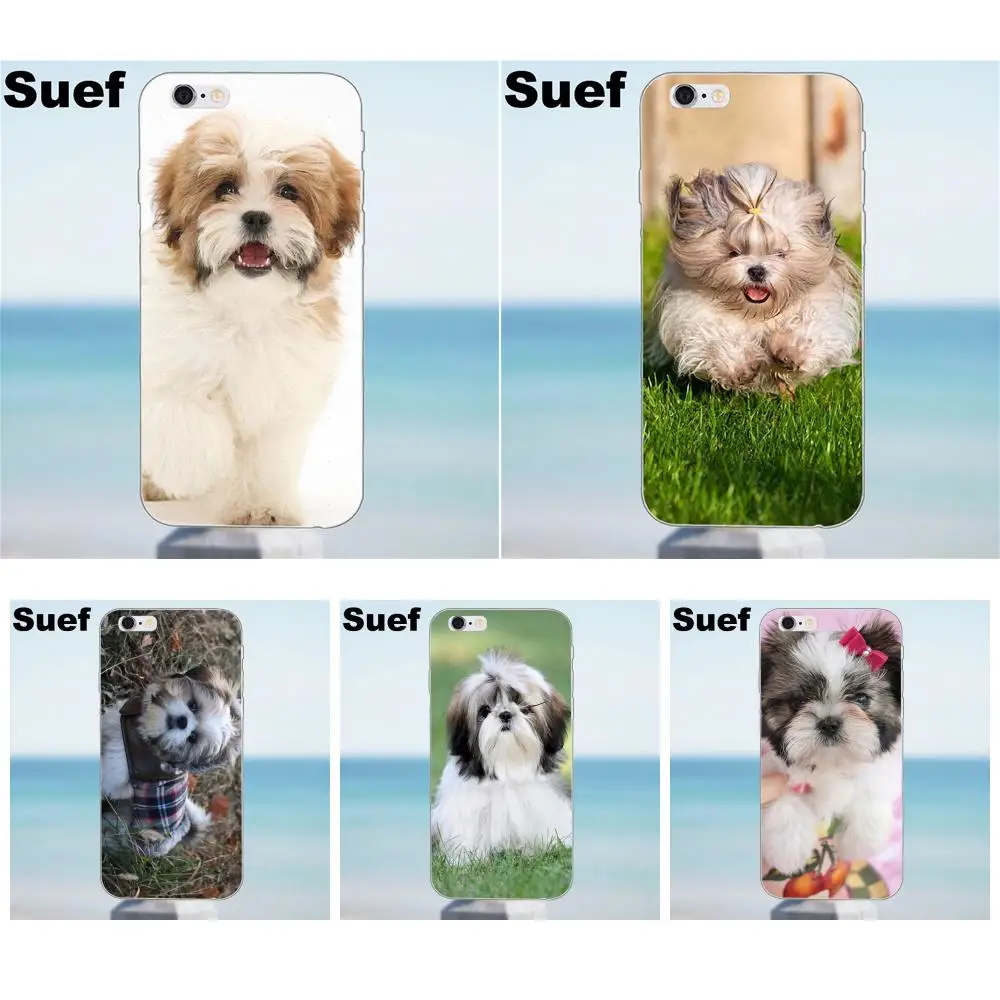 Suef Shih Tzu Shitzu Щенячий щенок для iPhone X 4 4S 5 5S 5C SE 6 6S 7 8 Plus Samsung Galaxy J1 J3 J5 J7 A3 A5 2016 2017|for
