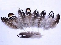 100pcslot 4 8cm natural whiteyellow reeves venery pheasant small wingscraft striped feathers