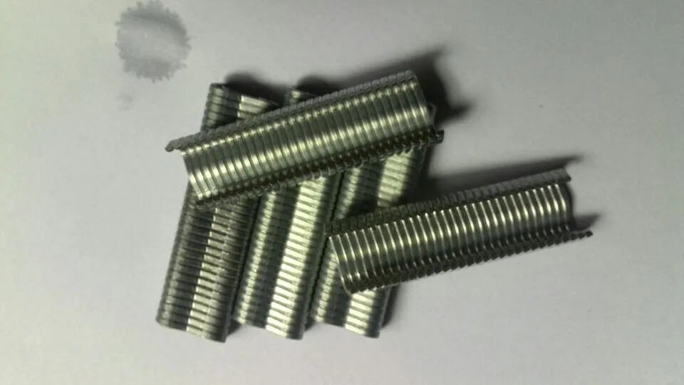 

M shape nail for Clip Pliers repairing animal wire Cages(one box=600pcs