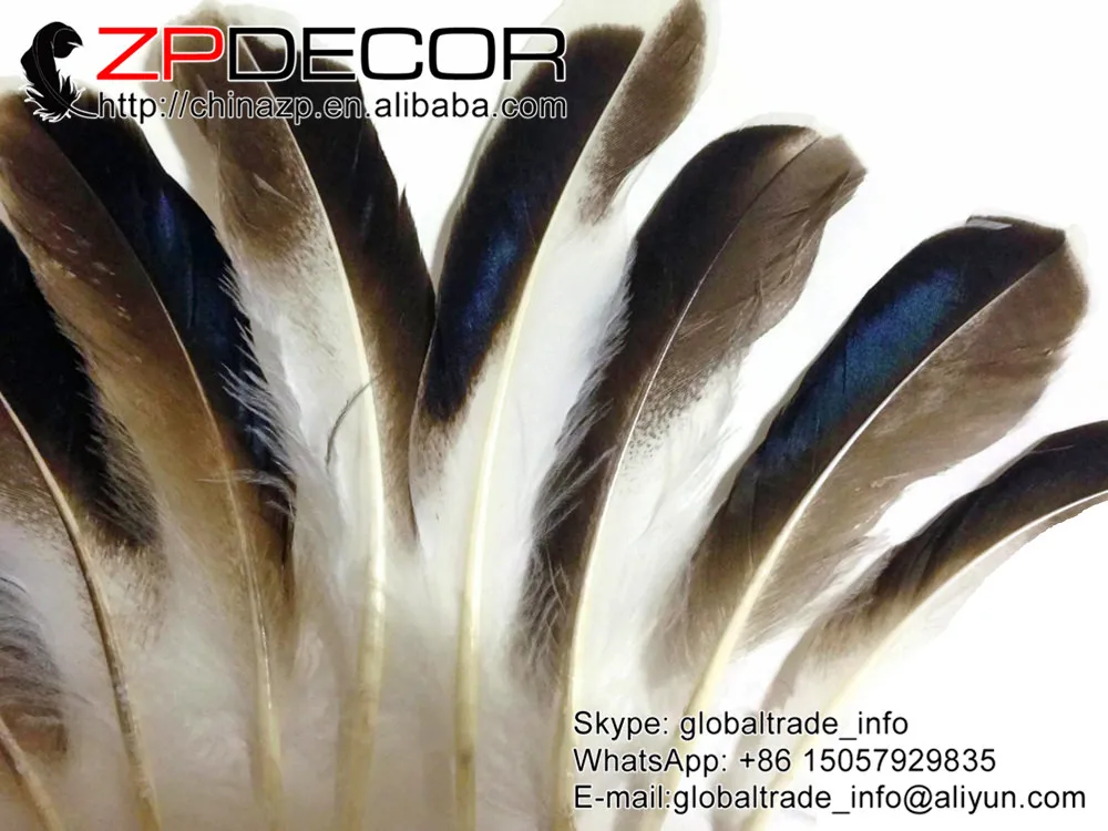 ZPDECOR 10-15 см 100 шт./лот красивый узор Радужный синий микс Кряква утка крыло оптовая