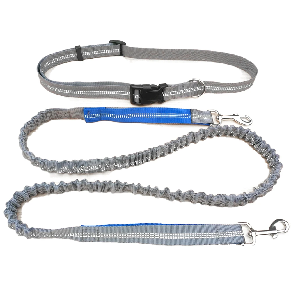 

1PCS Multifunctional Led Pet Dog Leash Print Running Sport Traction Nylon Leash Going Out And Managing Dog Tools Pet Supplies