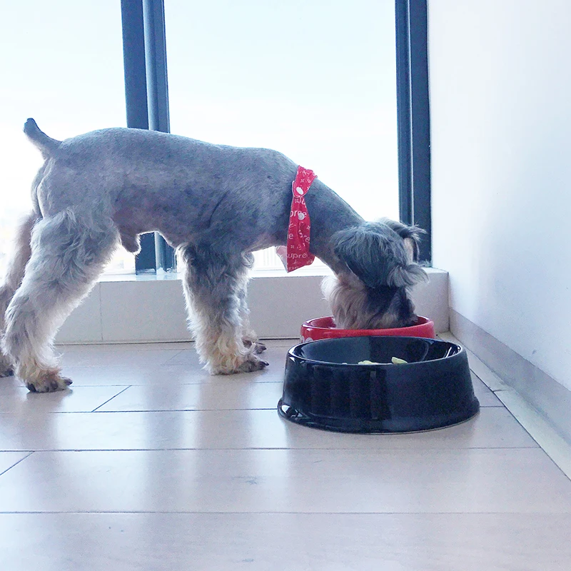 Миски для корма собак миска питья красные черные миски кошек с буквенным узором