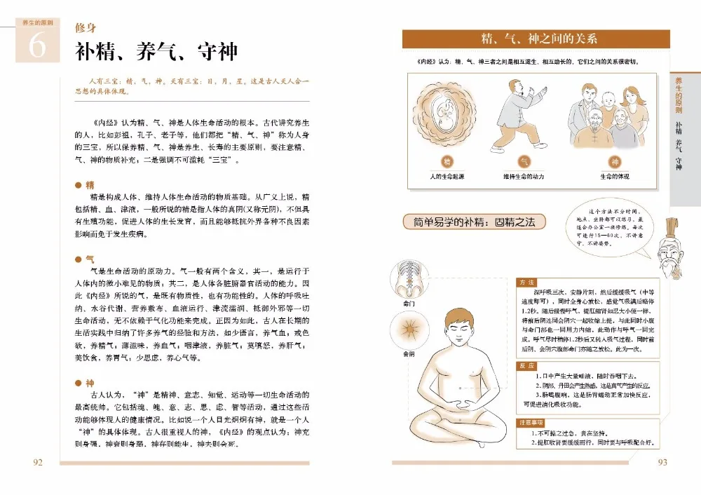 Внутренний Canon Huangdi с картинкой легко понять Китайская классическая медицинская