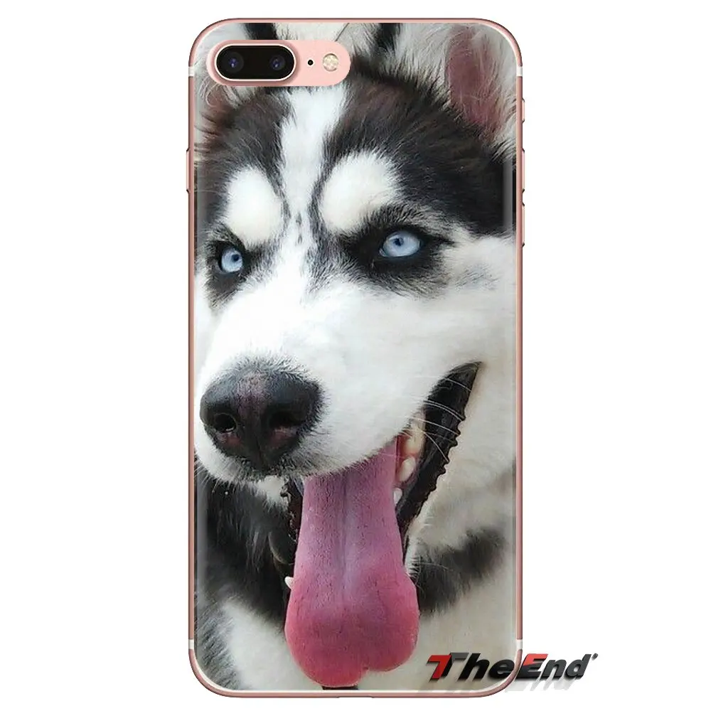 Чехол для телефона из силикона с рисунком щенков сибирской хаски Huawei Mate Honor 4C 5C 5X 6X