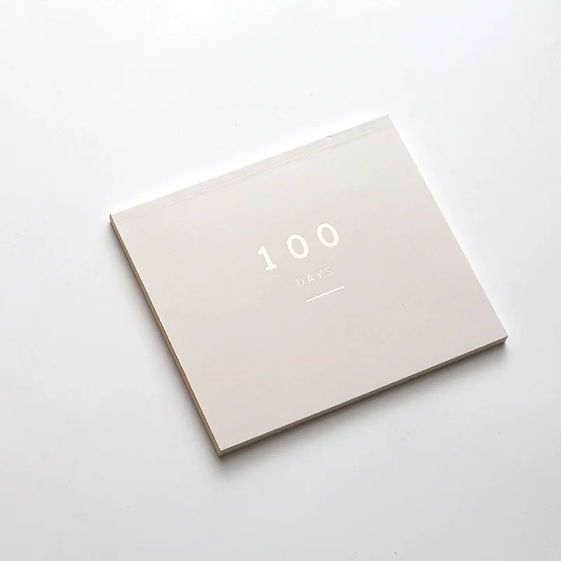 Grey 100 BLINGIRD ежедневный блокнот 100 ежедневный план Корейский простой стиль график основа эффективность ручной поверхности милый планировщик канцелярские принадлежности - Цвет: Grey 100