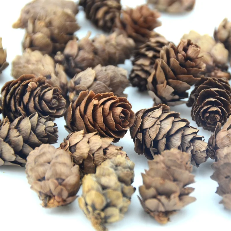 Pine Nuts 50 шт. натуральные дешевые мини кедровые орехи Искусственные Поддельные фрукты овощи для дома Свадебные украшения Когнитивная игрушка украшение стола - Цвет: Pine Nuts