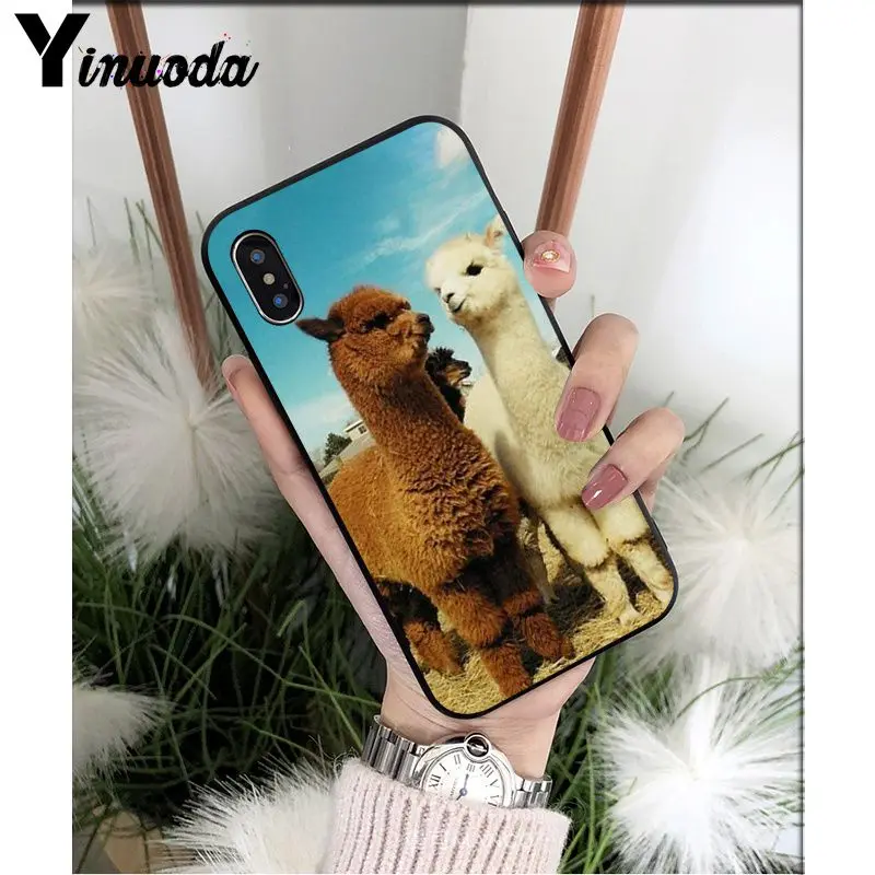 A16 Yinuoda лама Alpacas животное умный чехол черный мягкий чехол для телефона для iPhone X XS MAX 6 6S 7 7plus 8 8Plus 5 5S XR - Цвет: A16