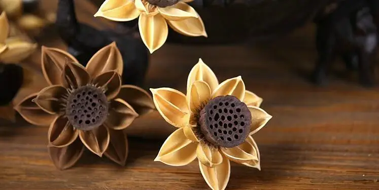 55 см натуральные DIY высушенные цветы гибискуса лотоса, свадебные украшения для дома, вечерние, офисные, Декоративные искусственные сушеные цветы