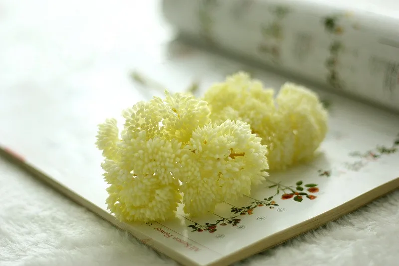 Красочные пластиковые семена риса деревенские муляжи фруктов aglaia мини фрукты