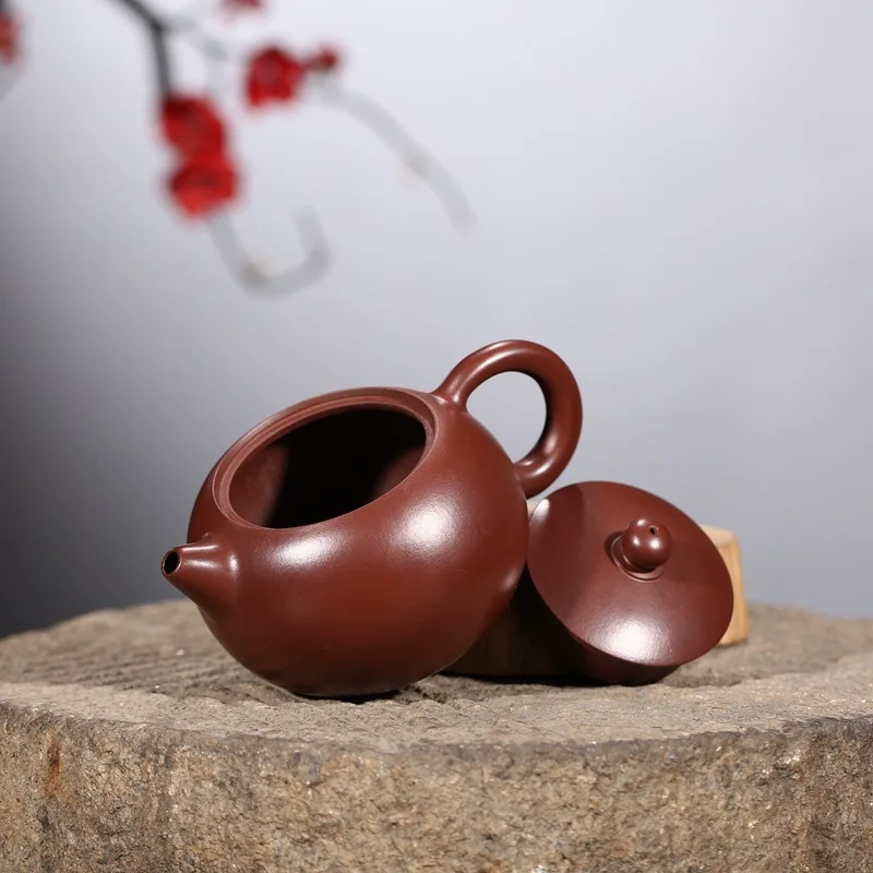 Фиолетовый песочный горшок с Римом морская грязь рекомендуемый король город