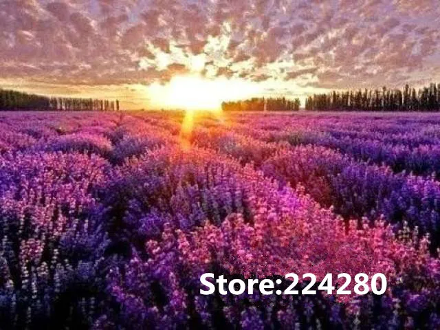 Рукоделие. Вышивка Набор для вышивки крестиком 14 карат без принта Прованс