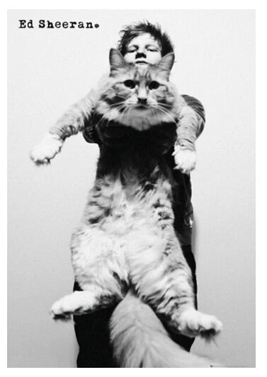 Ed Sheeran Catching The Cat Luxary украшение для дома модные на заказ бесплатная доставка постер