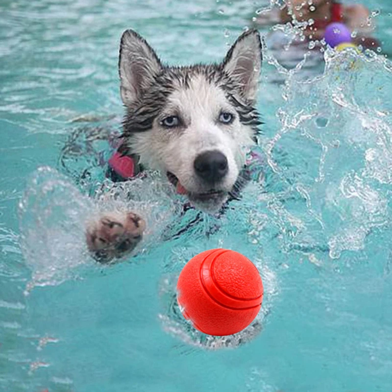 Товары для домашних животных игрушка собак резиновый мяч укусы собаки щенок