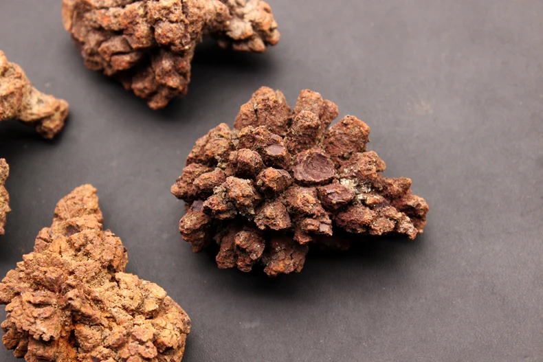 100 г натуральный динозавр dejecta fossil rough feces образец | Дом и сад