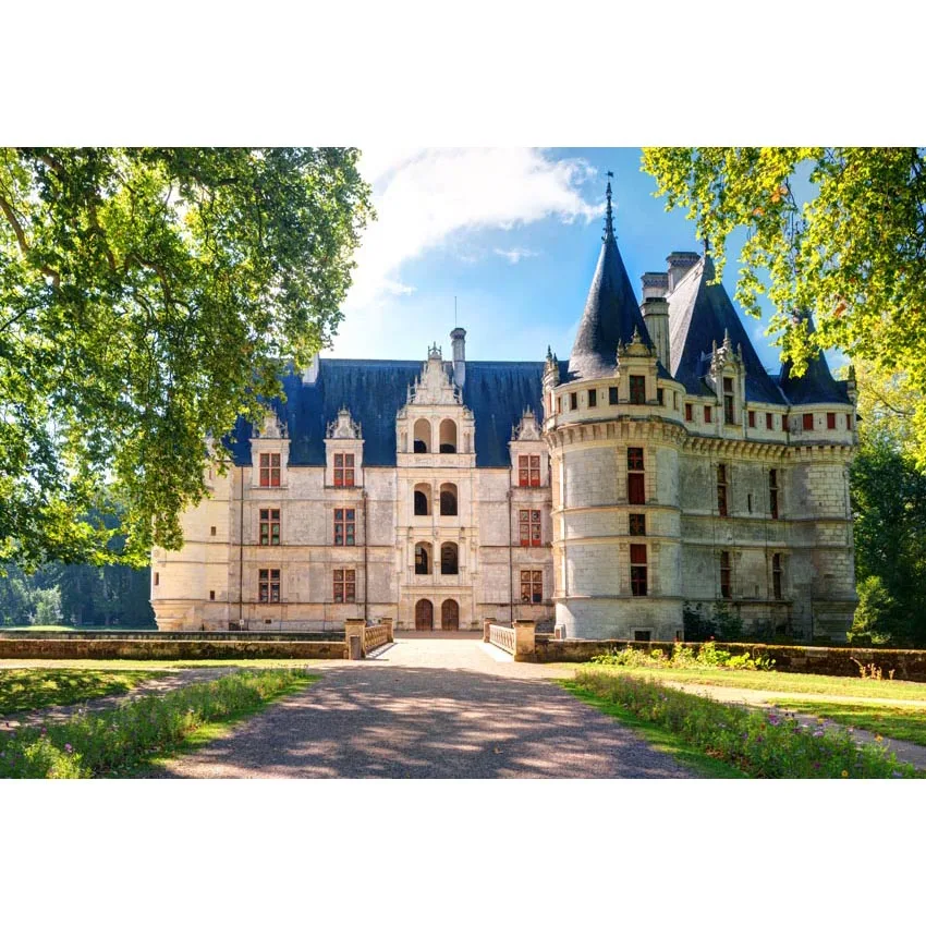 

Vinyl Castle Photo Backdrops for Photography Children wedding Background for Photographers Studio G-596