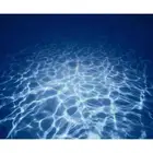 Двустороннее украшение для аквариума 9063 дюйма, 23,3 дюйма x 60 дюймов, Белый кораллсиний морской аквариум, фоновая картина, постер