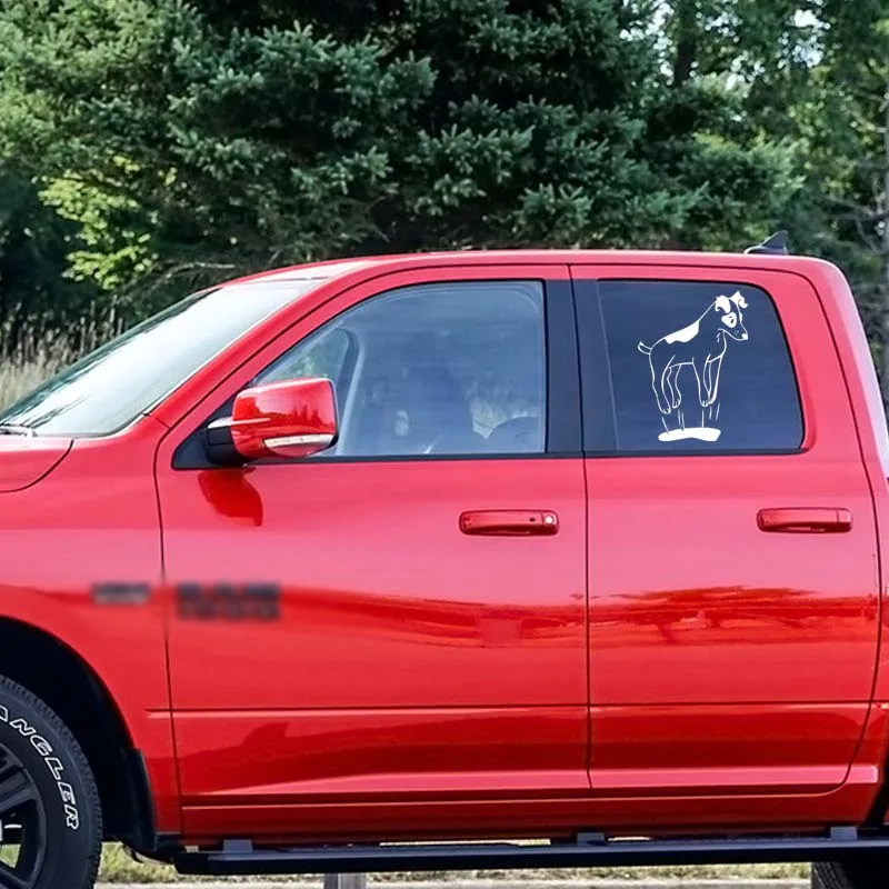 Прыгать Джек Рассел терьер личность Смешные автомобильные мультипликационные