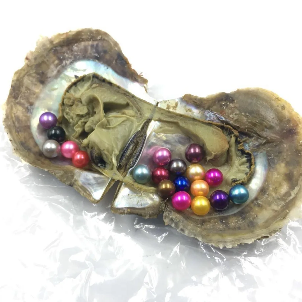 5 шт./лот Oysters Akoya с морской водой 10 круглыми жемчужинами внутри AAA цветные круглые
