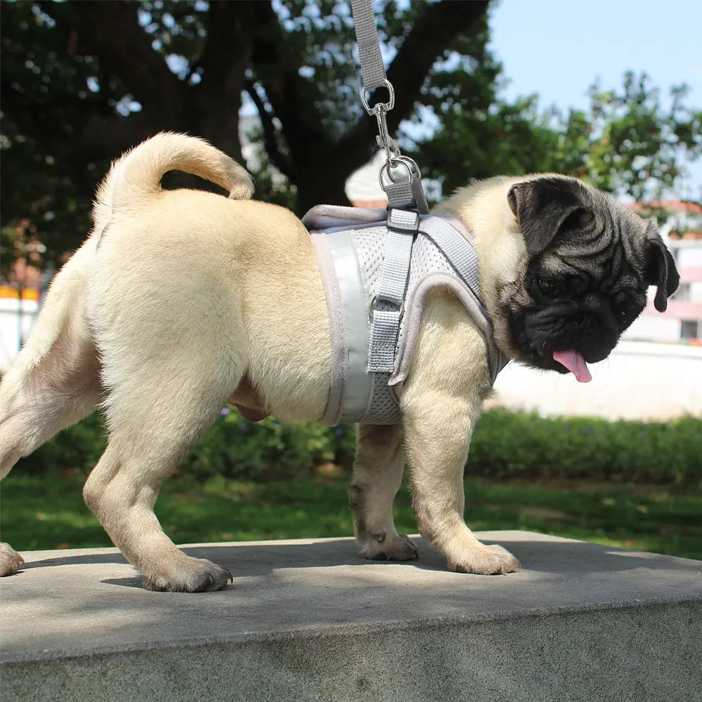 Комплект котелька и поводка для кошек "Cat Harness and Leash Set Reflective Kitten Puppy Dogs Jacket Mesh Pet Clothes For Small Chihuahua Yorkies Pug on"