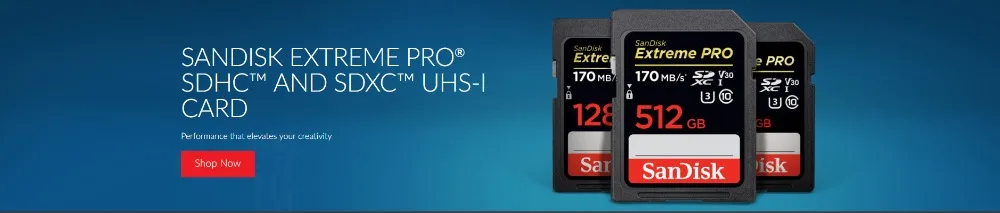 Карта памяти SanDisk 170MB SD для камеры 80MB 256GB 128GB 64GB 32GB 16GB карта памяти U3 U1 4K флэш-карта для камеры флэш-карта SDXC SDHC