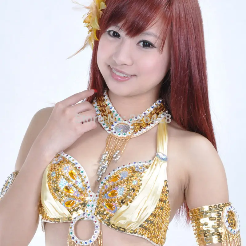 Костюм для танца живота 1 пара нарукавников и ожерелье 12 цветов|belly dance costumes|dance