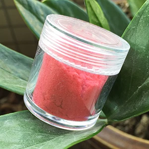Light pink 02 24 цвета, 10 мл/бутылка, Декоративный Лак, стекло, для ногтей, искусство, сделай сам, советы, дизайн, бархат, стекающаяся пыль, порошок, маникюр, бархатная пудра - Цвет: Light pink 02