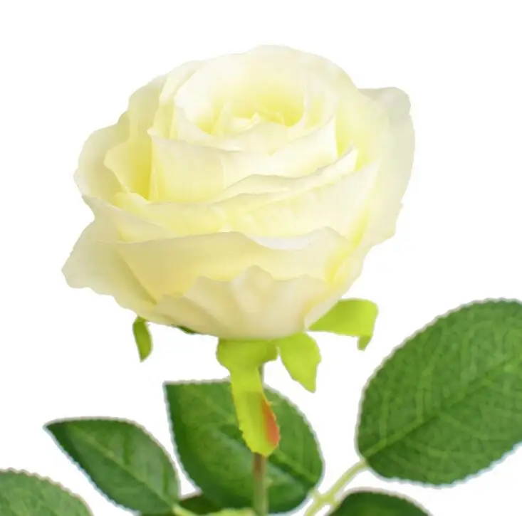 30 шт. шелковые розы искусственные цветы на ощупь|flowers artificial|flowers forflower for wedding |