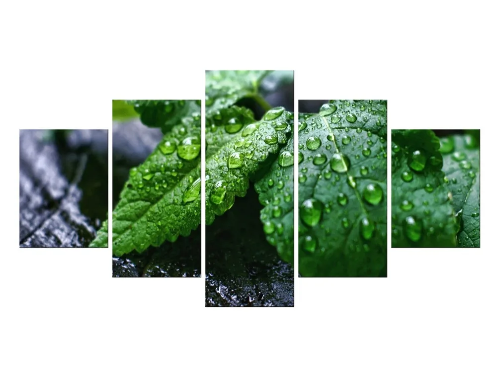 5 шт. зеленые листочки на камнях капли воды настенная живопись картины печать