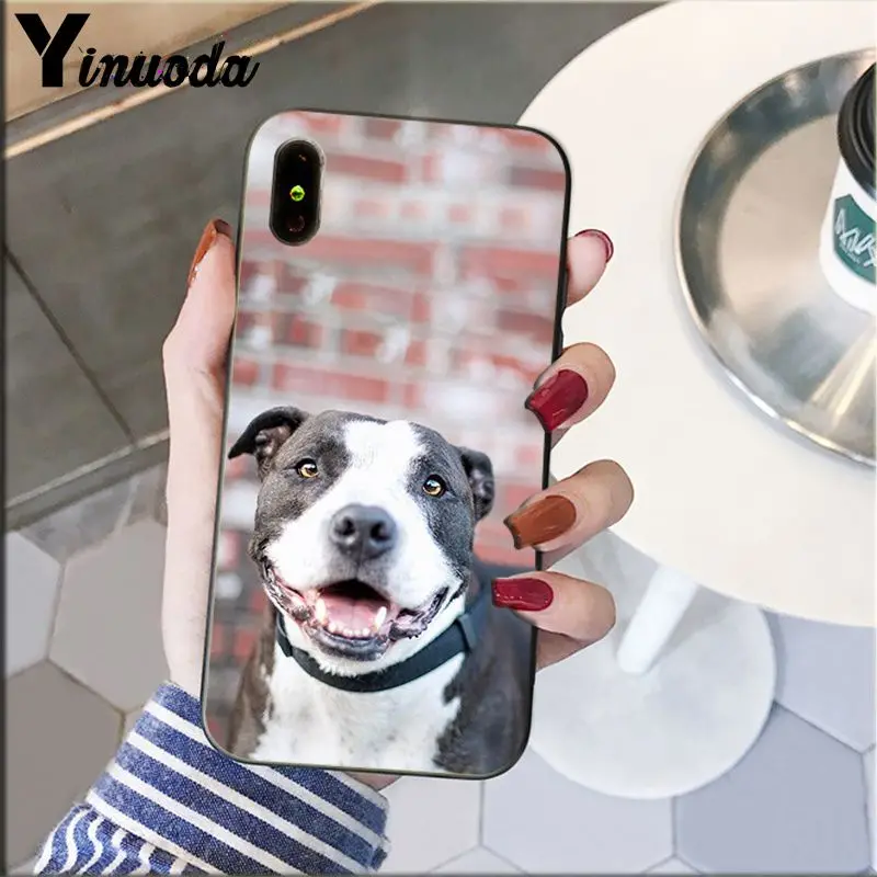 A15 Yinuoda Pit Bull прекрасная комнатная собачка Pitbull TPU Мягкий силиконовый чехол для телефона iPhone 5 5Sx 6 7plus 8 8Plus X XS MAX XR - Цвет: A15