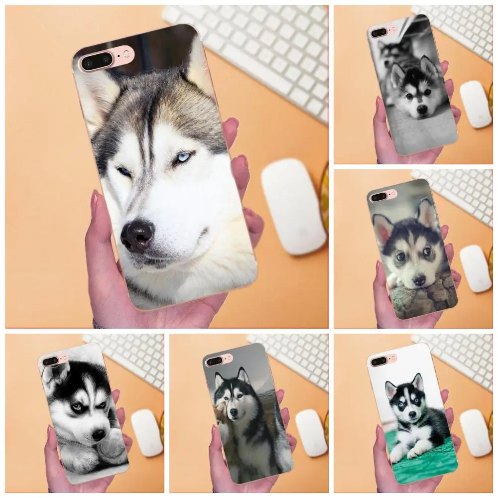 Ультратонкий чехол для телефона Sony Xperia Z Z1 Z2 Z3 Z4 Z5 compact Mini M2 M4 M5 T3 E3 E5 XA XA1 XZ Premium Husky Dog