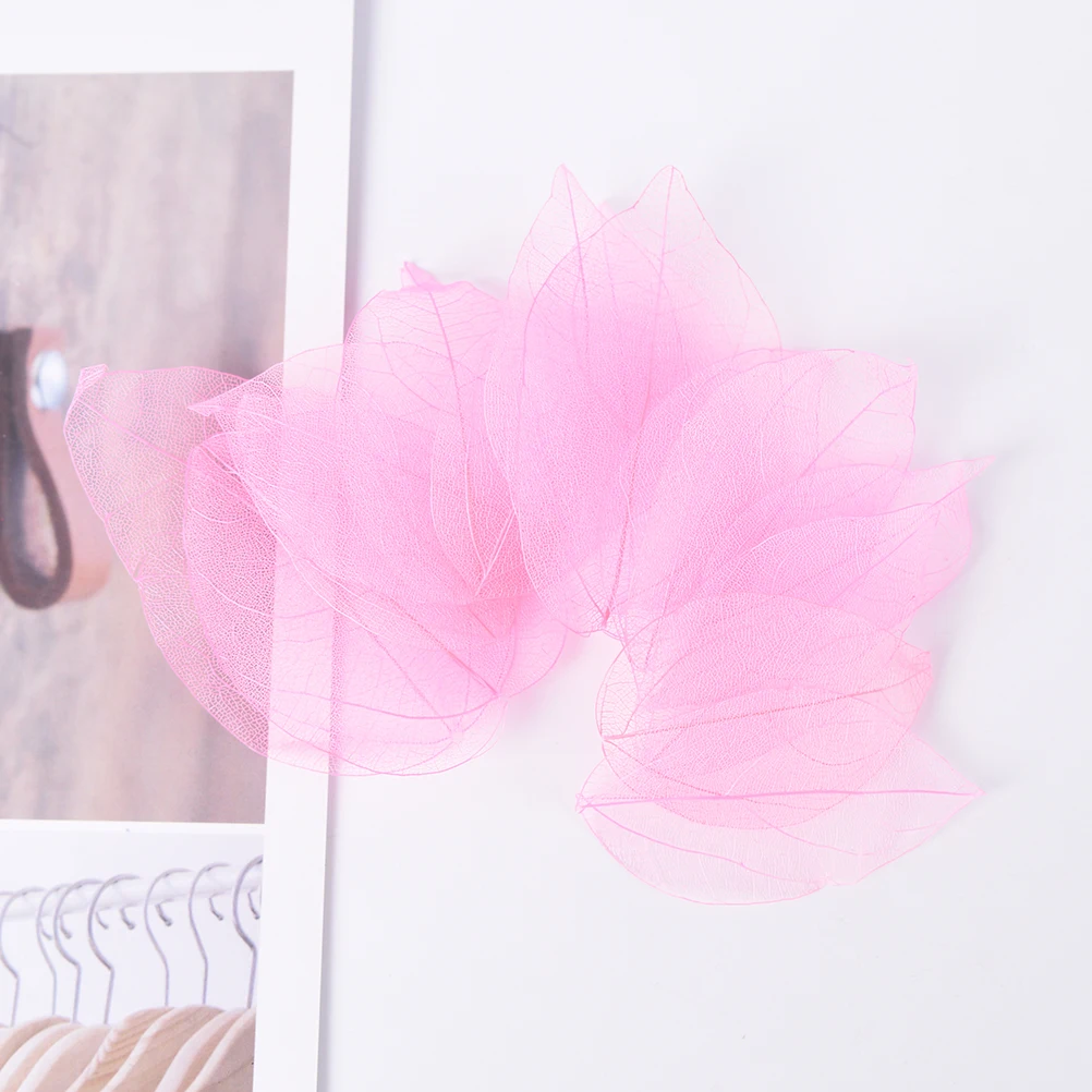 20 шт./лот натуральная Магнолия скелет листья карта альбом для скрапбукинга