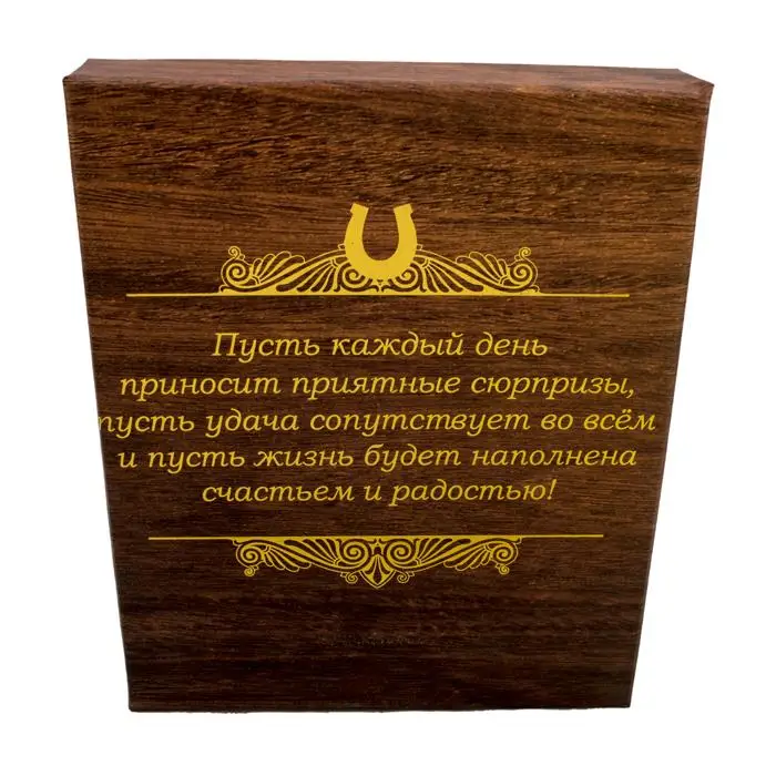 Рекламные солнцезащитные Брелки! Винтажный подковы автомобильный брелок с