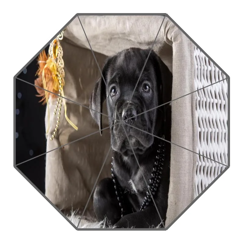 8 Custom Cane Corso Dog Umbrellas Polyester Fabric High Quality Sunny And Rainy Umbrella Non-Automatic Umbrella For Adults - Цвет: 8
