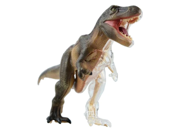 DIY игрушка головоломка собранная 4D T-REX анатомическая модель динозавра полностью