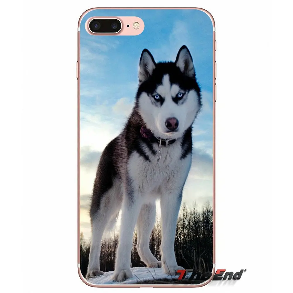 Для iPhone X 4 4S 5 5S 5C SE 6 6S 7 8 Plus Samsung Galaxy J1 J3 J5 J7 A3 A5 2016 2017 Husky аксессуары для собак чехлы