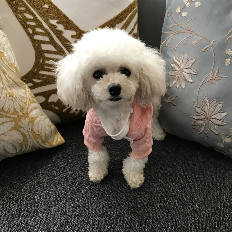 HSWLL Pet puppy Одежда свитер на молнии вязаное худи одежда для собак осеннее пальто Французский бульдог кошка одежда Йоркширский