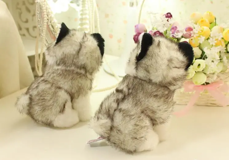 

18 Husky Dog