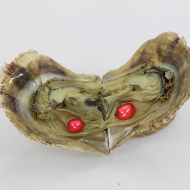 20 Colors Dyed Pearl Oysters Single Rice Pearls AAA in the Akoya Vacuum-packed Gift Love Wish AO020 | Украшения и аксессуары