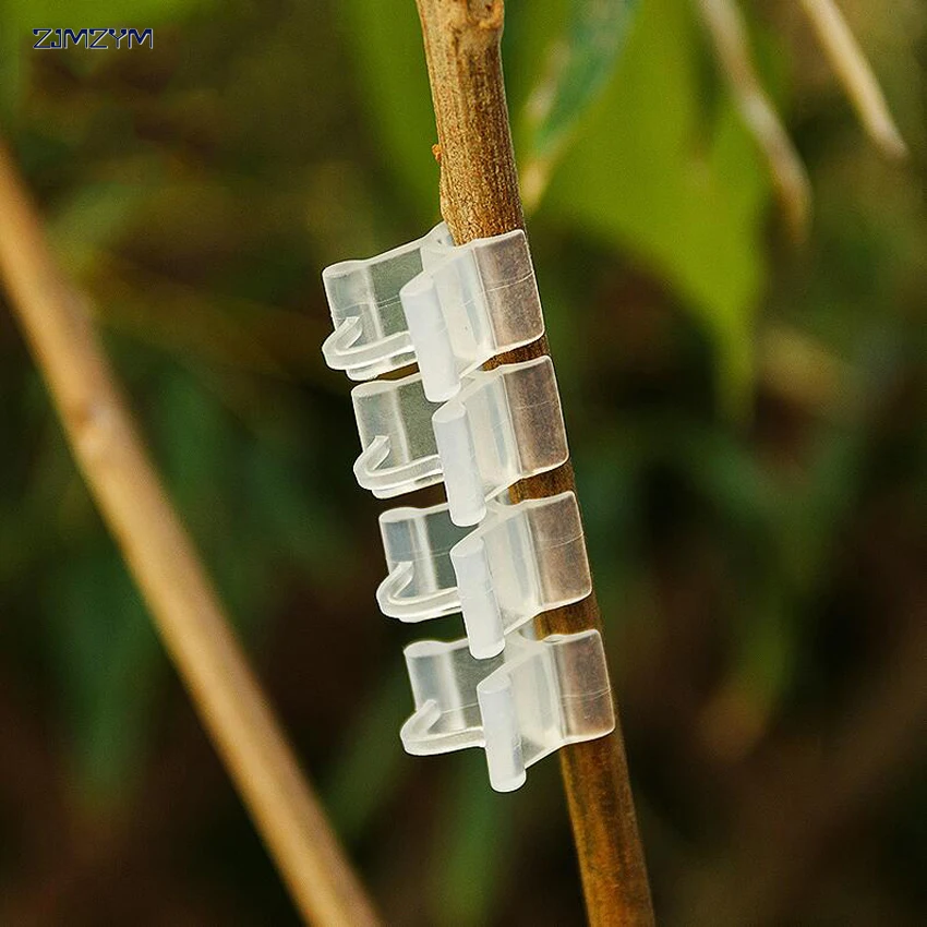 

10pcs/set Reusable Plastic Plant Clips Supports Connects Protection Grafting Fixing Tool Gardening Supplies for Vegetable Tomato