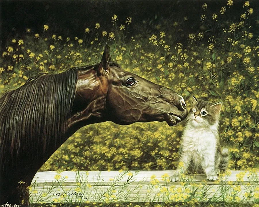 

Horse Cat Needlework Diy Diamond Painting Cross Stitch Square/round Diamond Emboridery Fashion