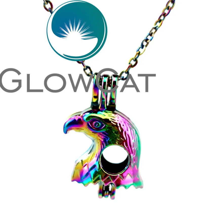 CC629 для мальчиков детей радуга цвет Орл ястреб бусины клетка кулон эфирное масло