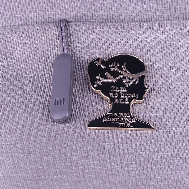 Эмалированная штифта Джейн Эйр я не птица | Украшения и аксессуары