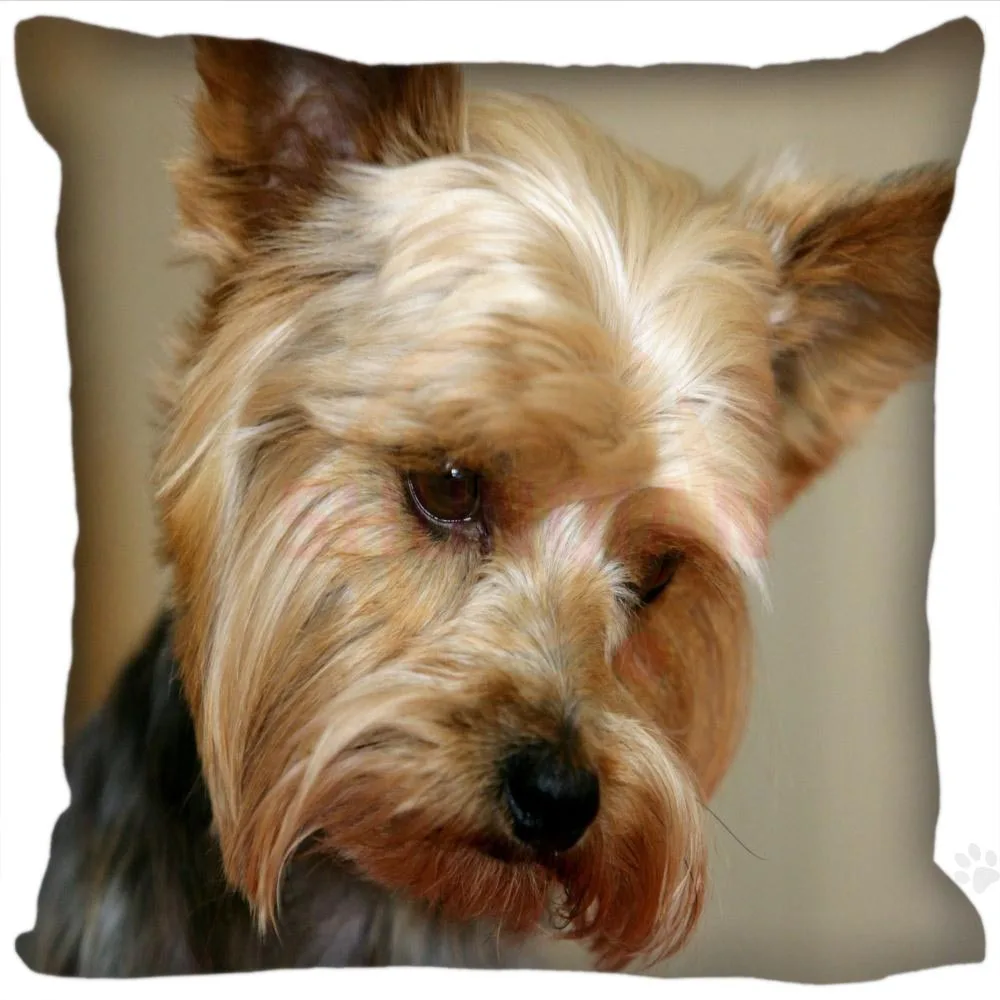 Горячий продукт Бесплатная доставка индивидуальная квадратная наволочка