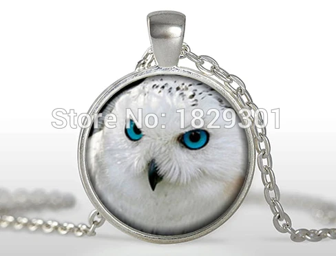 Сова Кулон сова Ожерелье Ювелирные Изделия Стеклянный Купол Ожерелье|necklace