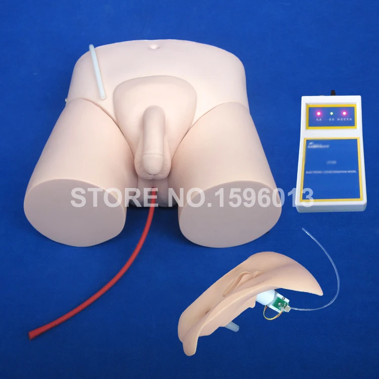 Электронный катетерический тренировочный симулятор сменная модель