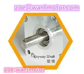 Хорошее качество! Шаговый двигатель Nema 42 Wantai 110BYGH201-001B двойной вал 4200oz-in 8A 201 мм CE ROHS