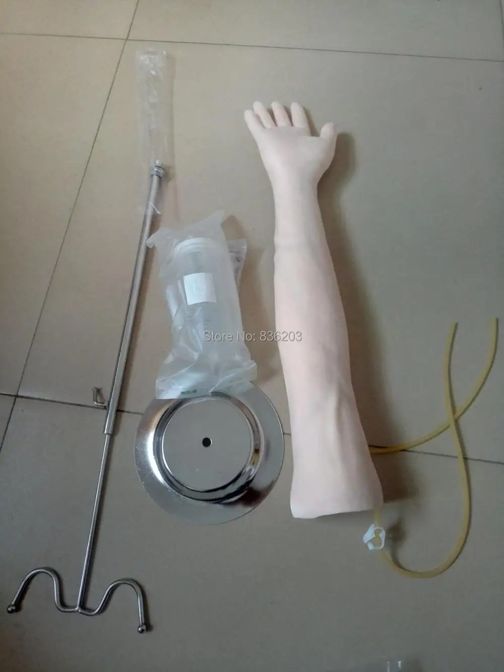 Жизненный размер анатомическая IV флеботомия Venipuncture тренировка рука инъекция