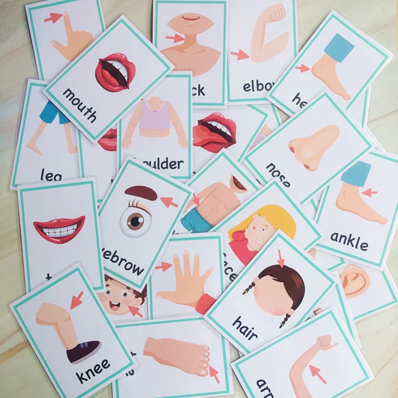 99 шт. карманные фонарики для учебных пособий|Чтение| |