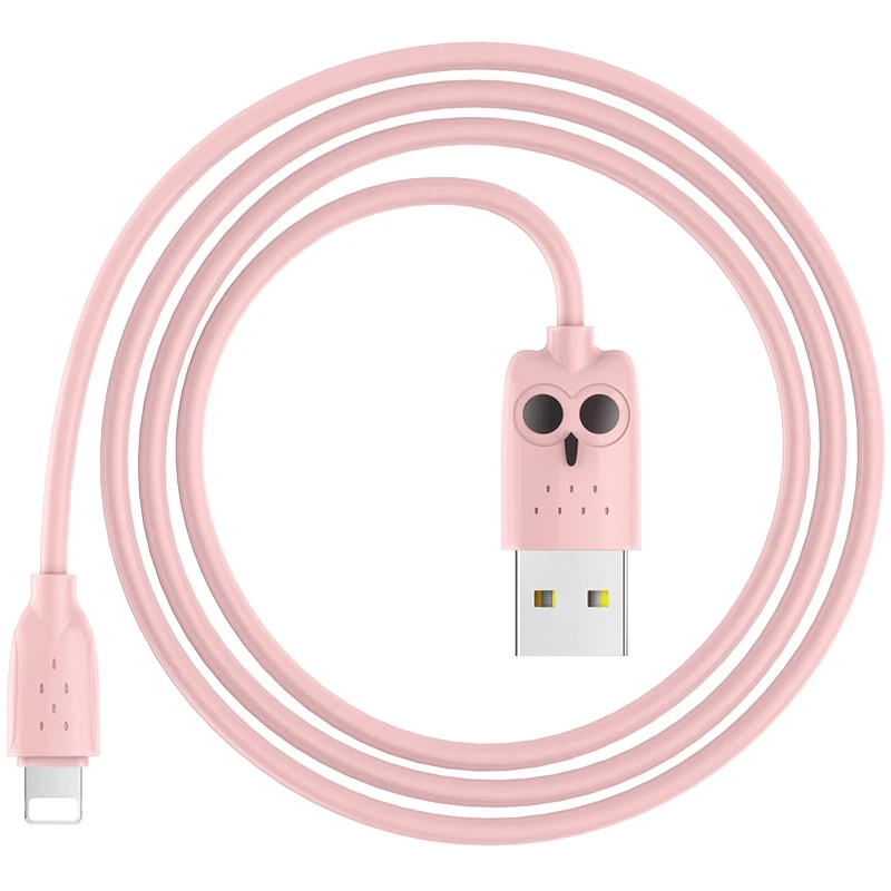 100cm Pink HOCO USB кабель для iPhone, зарядный кабель, двойное USB зарядное устройство для iPhone 5S 6 7 8 XS XR 2.4A зарядное устройство - Цвет: 100cm Pink