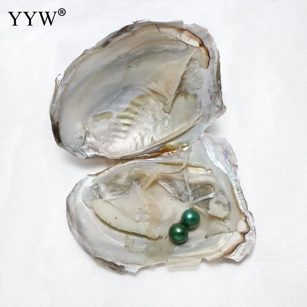 

15PCs Freshwater Cultured Love Wish Pearl Oyster Freshwater Pearl Potato Twins Wish Pearl Oyster mixed colors 7-8mm Sold By Bag